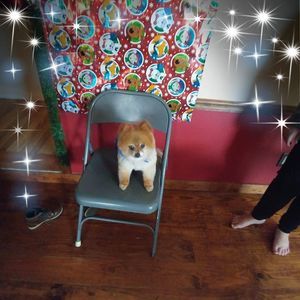 Meet your Posher, Patricia